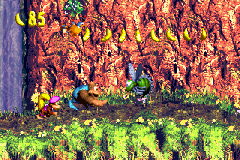 The Kongs and Parry the Parallel Bird explore Barrel Drop Bounce in the Game Boy Advance remake