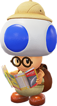 SMO Artwork Hint Toad.png