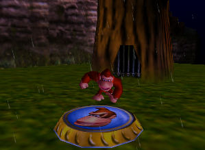 File:DK64 Creepy Castle Donkey Coin 1.png