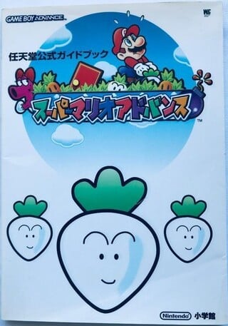 File:SMA Guide Shogakukan.jpg