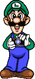 File:Luigi photograph MIMCD.png