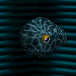 File:MAPS Animation Block 1-3.png