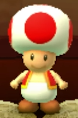 Red Toad as viewed in the Character Museum from Mario Party: Star Rush