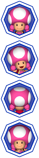 File:Toadette Select Shots P6.png