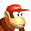 File:MKDD Diddy.png