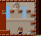 A 100 Coin found in Wario Land II for Game Boy Color (compressed)
