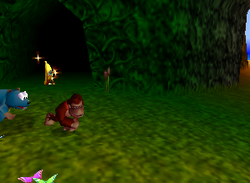 A Golden Banana for Donkey Kong on DK Isles.