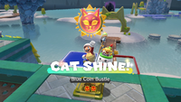 Collecting a Cat Shine in Bowser's Fury