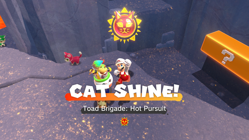 File:LakeLapcat ToadBrigadeHotPursuit.png