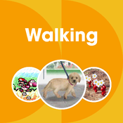 The cover image for the Walking playlist on Nintendo Music used from December 17, 2025 onwards