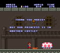 SMAS LL World-B In Another Castle.png