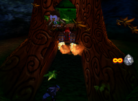 A setup for a Golden Banana for Diddy Kong in Fungi Forest.