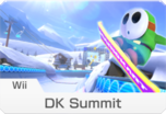 Wii DK Summit