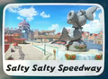 Salty Salty Speedway