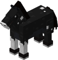 Black Horse (Super Mario Mash-Up Pack, old model)