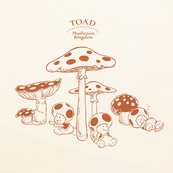 File:My Nintendo toadstool art.png