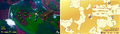Thumbnail for version as of 01:37, August 10, 2026