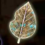 A fossil in Donkey Kong Bananza