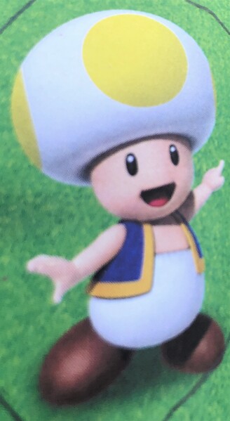 File:SMOSB Imposter Toad 2.jpg