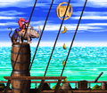 The DK Coin