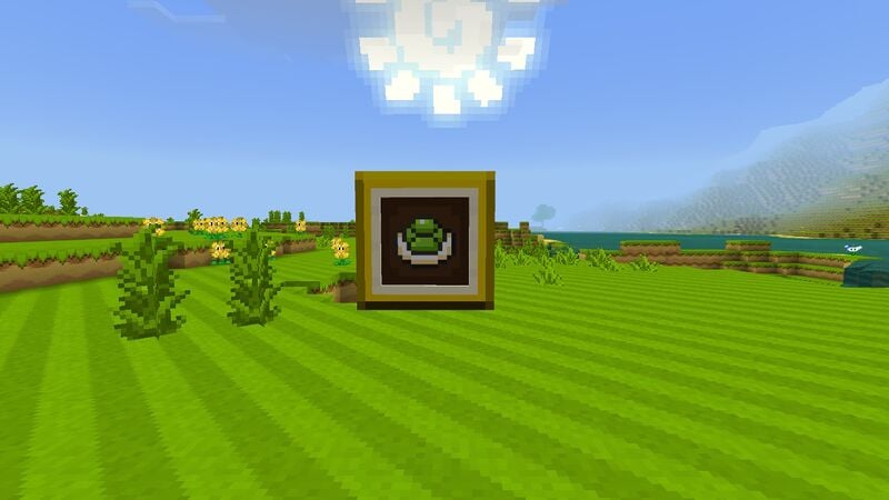 File:Minecraft Mario Mash-Up Koopa Shell.jpg