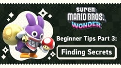 Image relating to Super Mario Bros. Wonder Beginner Tips