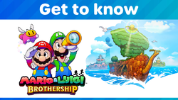 Get to know Mario & Luigi: Brothership