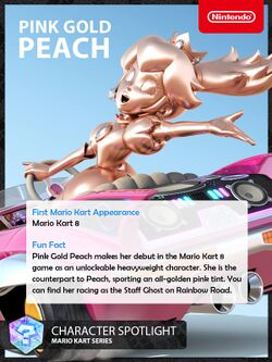Character Spotlight Card for Pink Gold Peach
