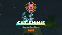 Collecting a Cat Shine in Bowser's Fury