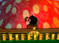 A yellow Banana Bunch in Fungi Forest.