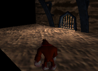 The Intro Story Kong prison in Donkey Kong 64, accessed via a glitch.