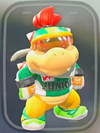 Pro Racer