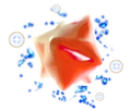 Super Mario Galaxy + Super Mario Galaxy 2