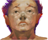 A Wario Kard enemy