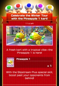 MKT Tour114 Special Offer Pineapple 1.jpg