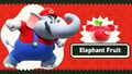 Artwork of Elephant Mario and an Elephant Fruit used in the article