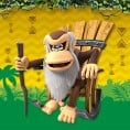 Cranky Kong option from an opinion poll on characters from Donkey Kong Country Returns HD for the Nintendo Switch