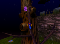 A set of purple Banana Coins in Creepy Castle.