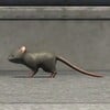 Two rats in the sewers of New Donk City
