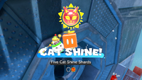 Five Cat Shine Shards