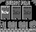 The Select File screen