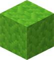 Lime Wool