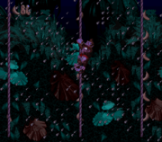 The first bonus room in Ropey Rampage from Donkey Kong Country