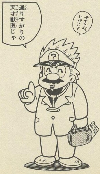 File:Veterinarian Mario DK1.jpg