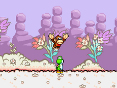 Finding Baby Donkey Kong in Yoshi's Island DS