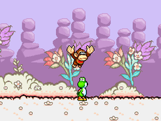 Finding Baby DK in Yoshi's Island DS