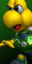 Team Luigi's Koopa Troopa picture, from Mario Strikers Charged.