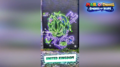 Street Art of Edge showcased during Ubisoft's Galactic launch video of Mario + Rabbids Sparks of Hope