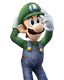 Character select preview from Super Smash Bros. Brawl