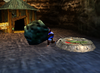 A Battle Arena Pad on DK Isles.